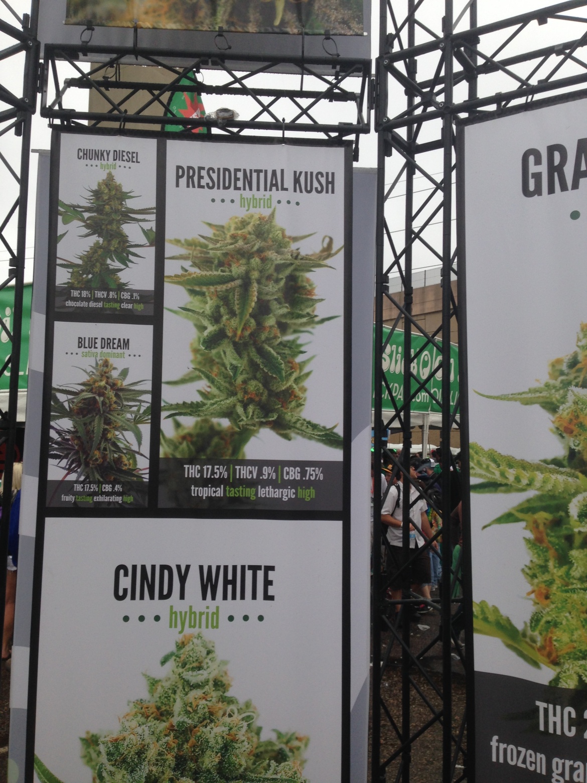 High Times 2014 Denver Cannabis Cup Kush Banners Versability